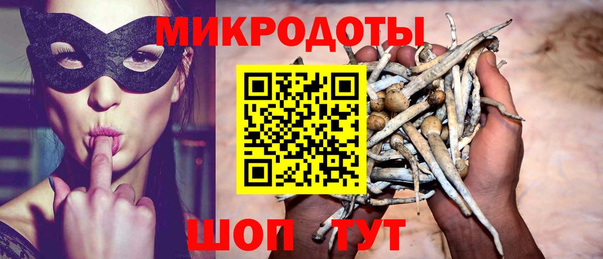 Саянск  Галлюциногенные грибы Magic Shrooms  Вход с VPN 
